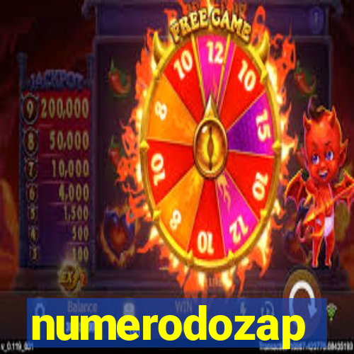 numerodozap