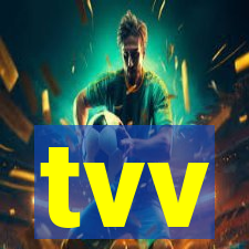 tvv-pg.com